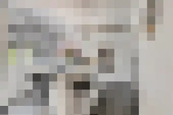 Vierhoven 3 Terheijden thumbnail 16