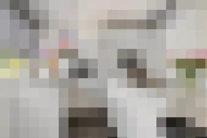 Vierhoven 3 Terheijden thumbnail 17