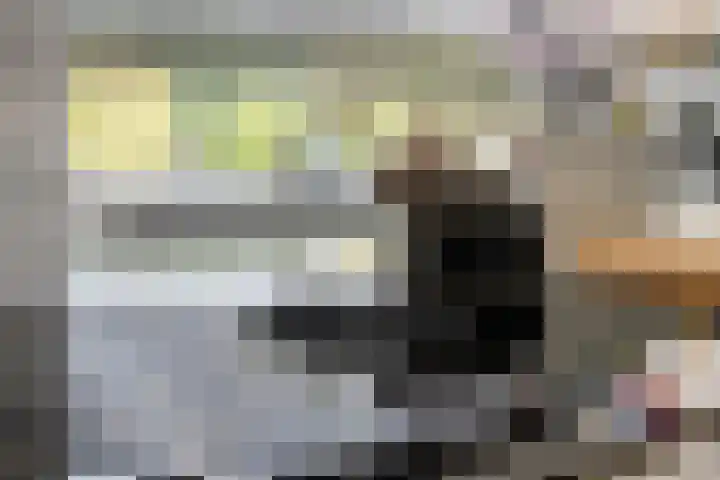 Vierhoven 3 Terheijden thumbnail 18