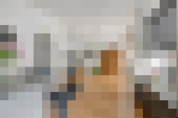Vierhoven 3 Terheijden thumbnail 19