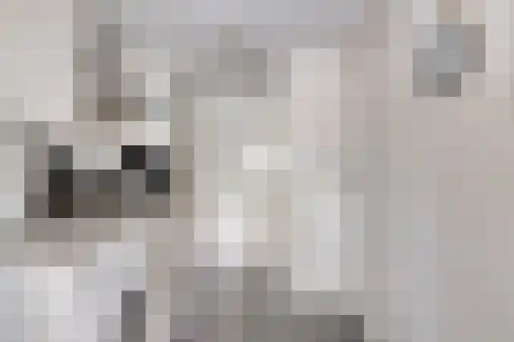Vierhoven 3 Terheijden thumbnail 20
