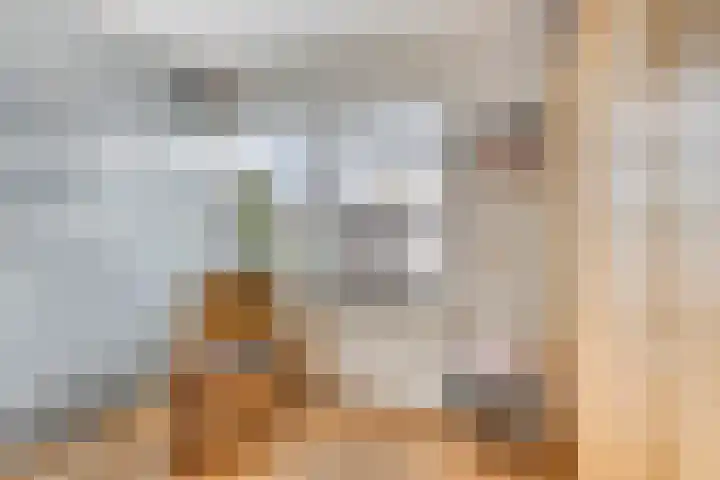 Vierhoven 3 Terheijden thumbnail 26