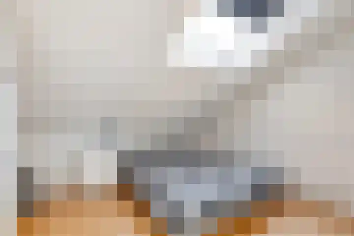 Vierhoven 3 Terheijden thumbnail 31