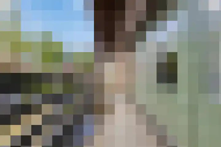 Vierhoven 3 Terheijden thumbnail 33