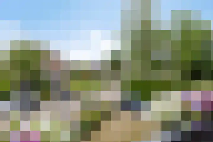 Vierhoven 3 Terheijden thumbnail 35
