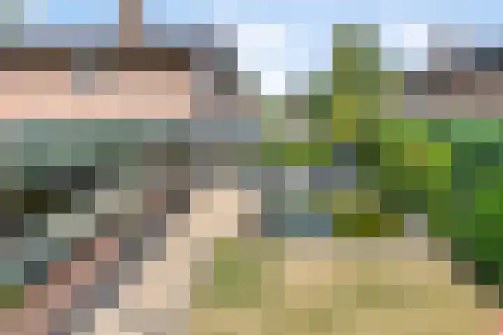 Vierhoven 3 Terheijden thumbnail 36