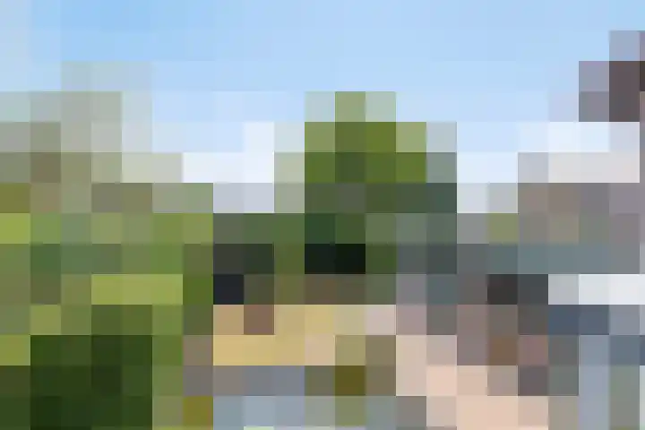 Vierhoven 3 Terheijden thumbnail 37