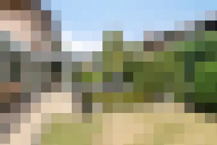 Vierhoven 3 Terheijden thumbnail 38