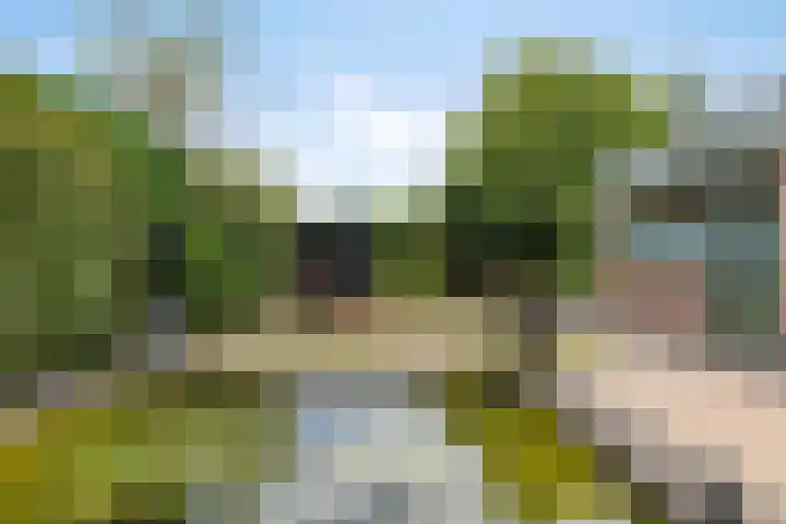 Vierhoven 3 Terheijden thumbnail 39