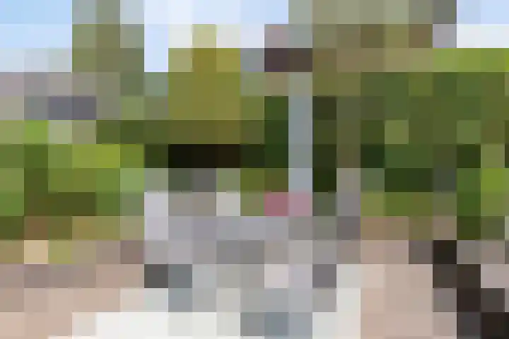 Vierhoven 3 Terheijden thumbnail 40