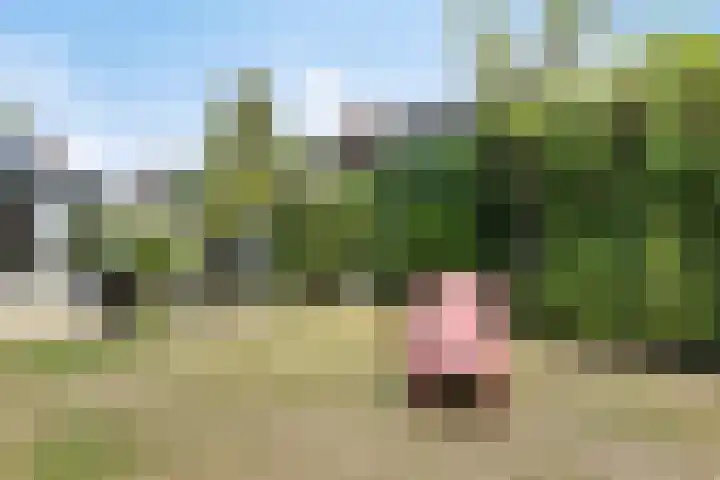 Vierhoven 3 Terheijden thumbnail 41