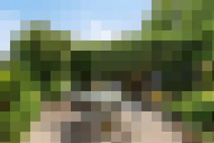 Vierhoven 3 Terheijden thumbnail 42
