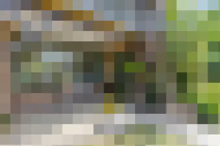 Vierhoven 3 Terheijden thumbnail 7