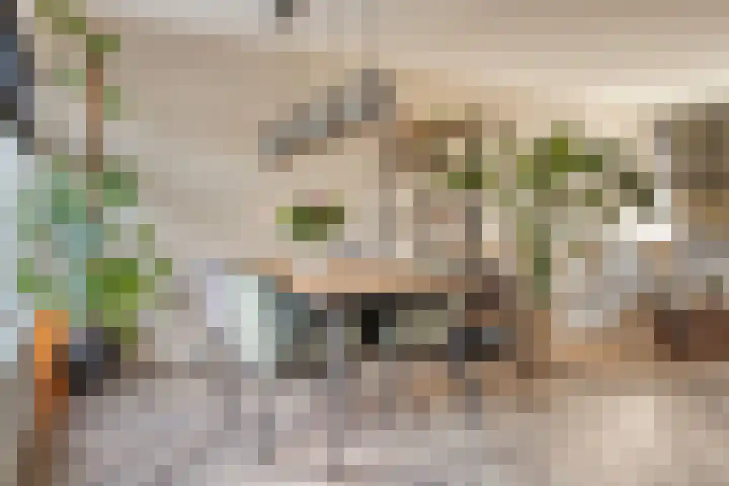 Vierhoven 31 Terheijden thumbnail 12
