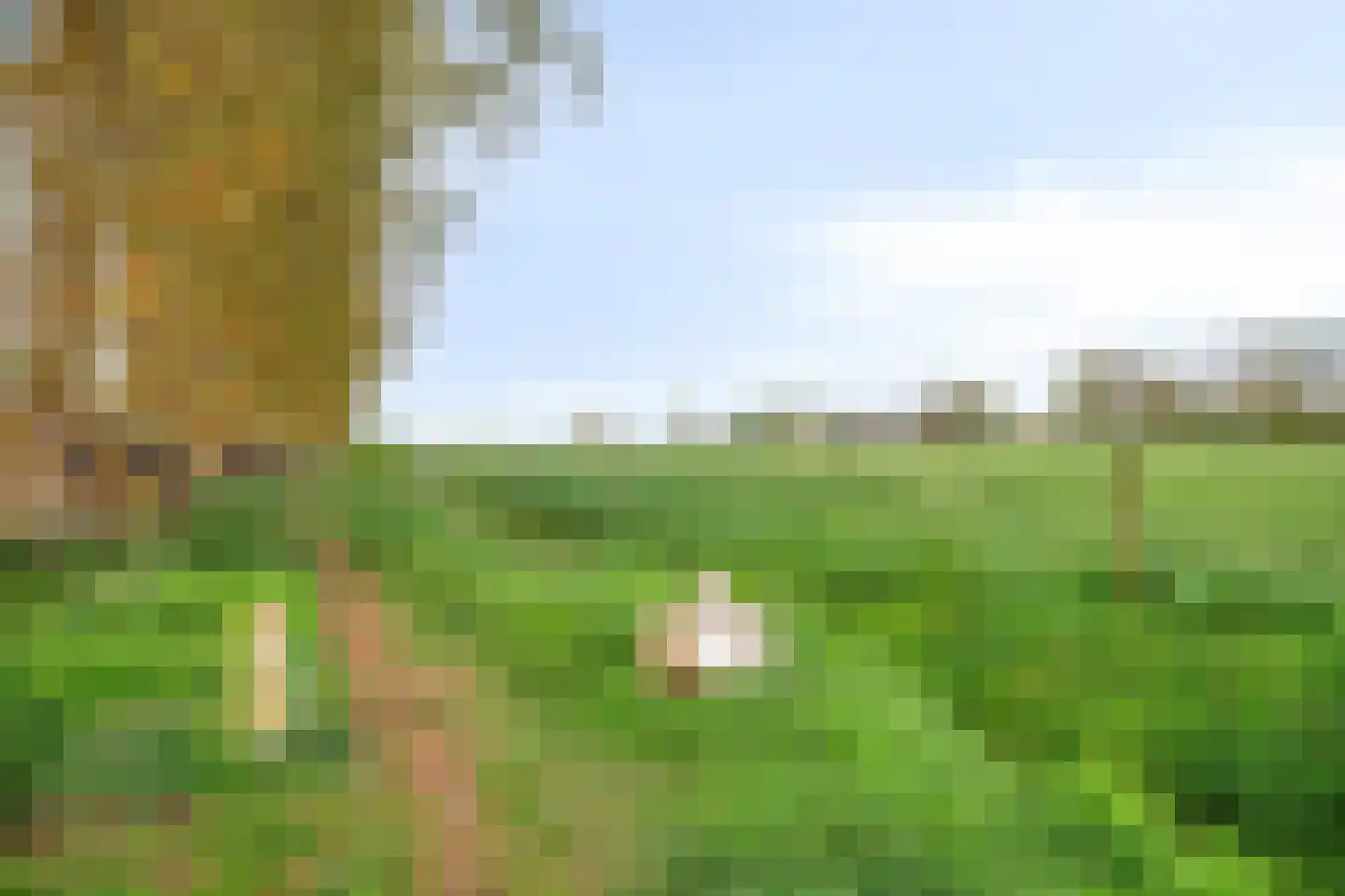 Vierhoven 31 Terheijden thumbnail 39