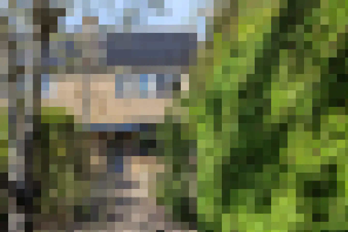 Vierhoven 31 Terheijden thumbnail 5