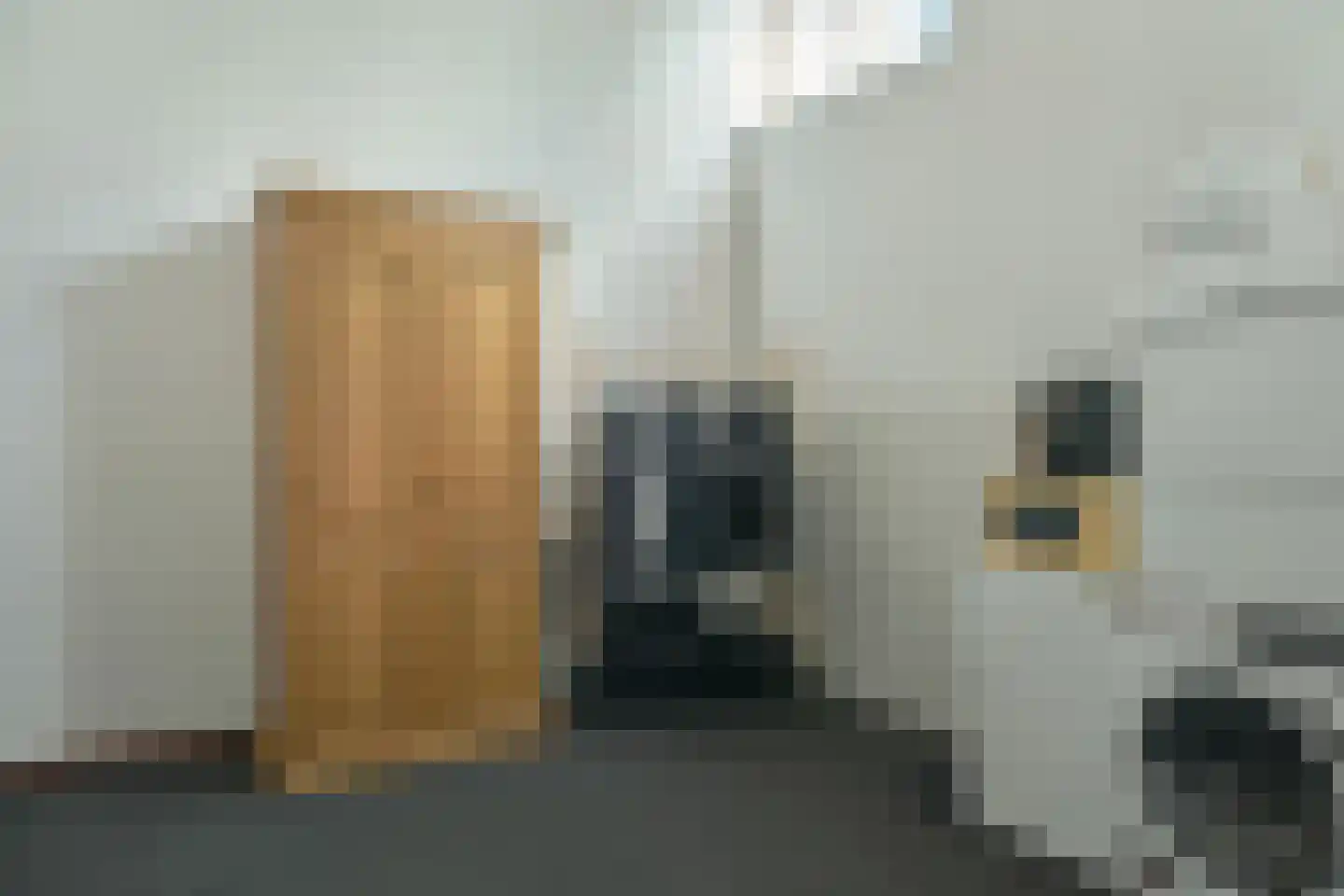 Vierhuisterweg 6 Rohel thumbnail 11