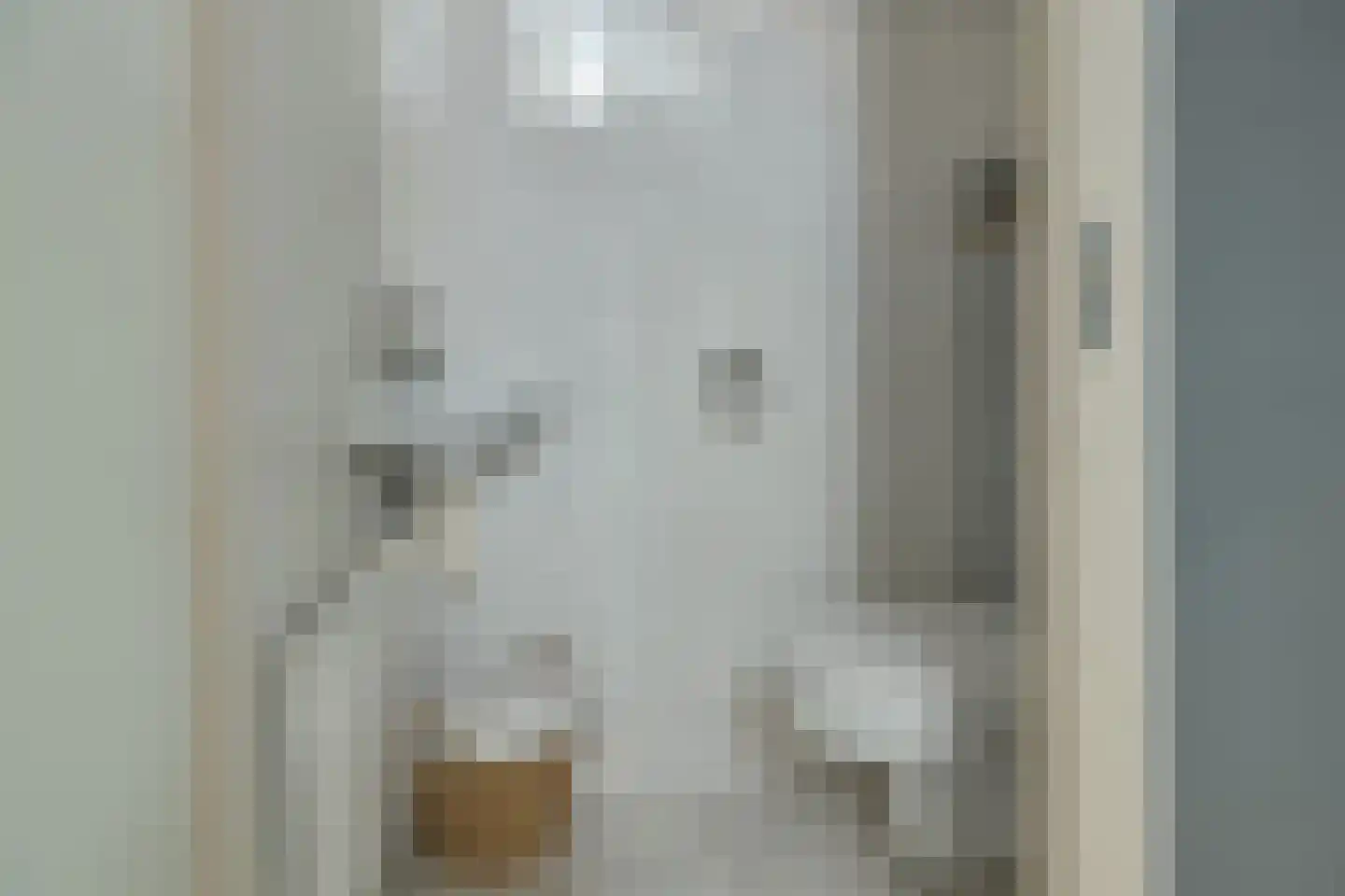 Vierhuisterweg 6 Rohel thumbnail 13