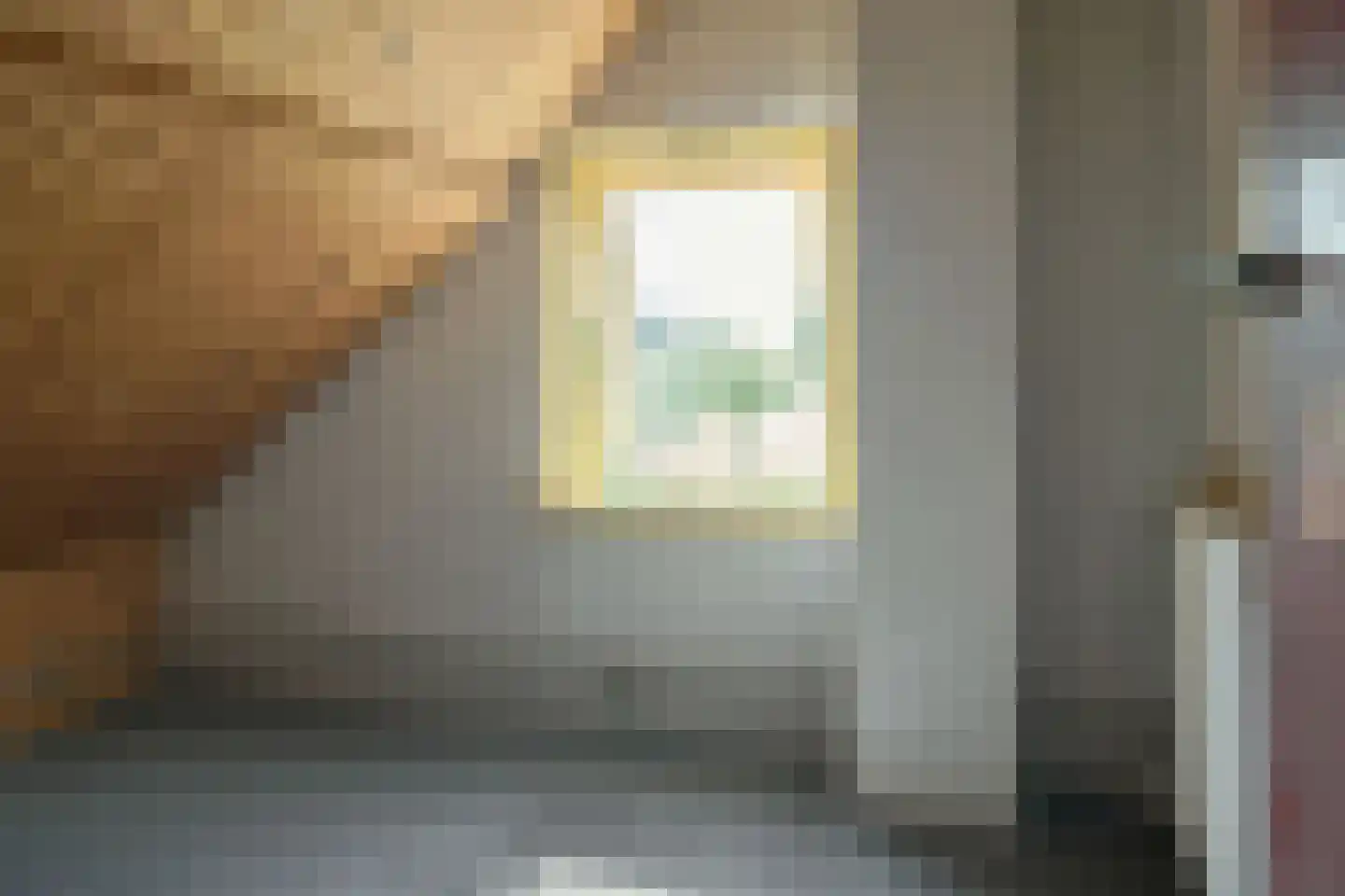 Vierhuisterweg 6 Rohel thumbnail 17