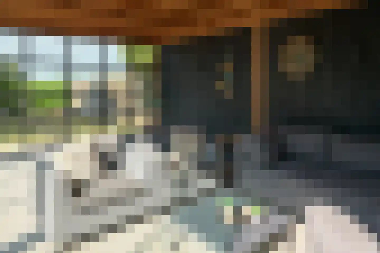Vierhuisterweg 6 Rohel thumbnail 26