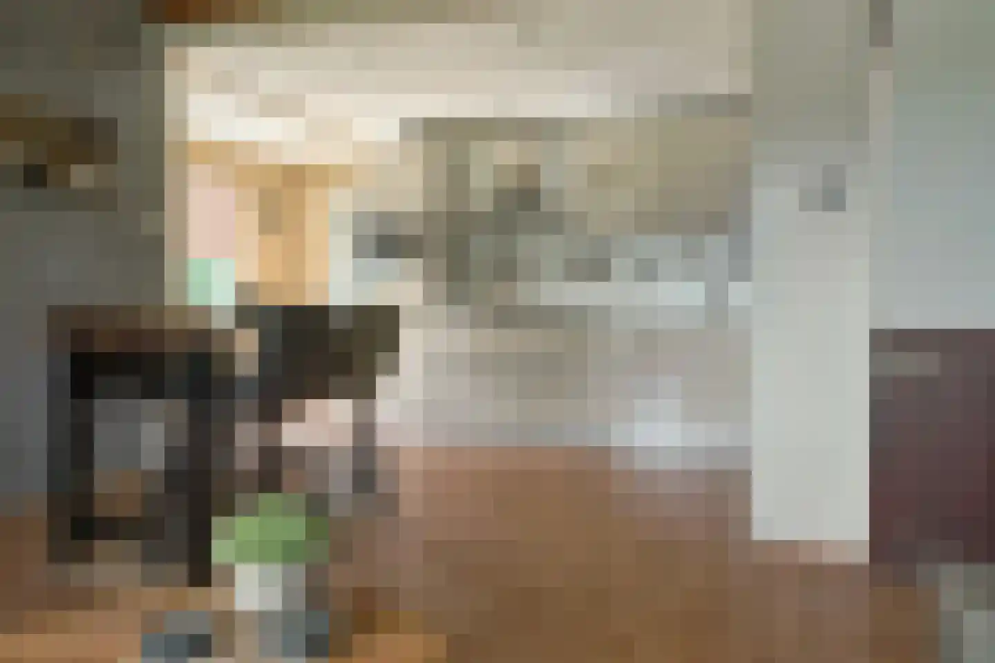 Vierhuisterweg 6 Rohel thumbnail 4
