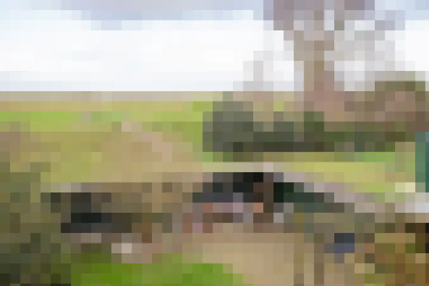 Vierhuizen 13 Oosterend thumbnail 37