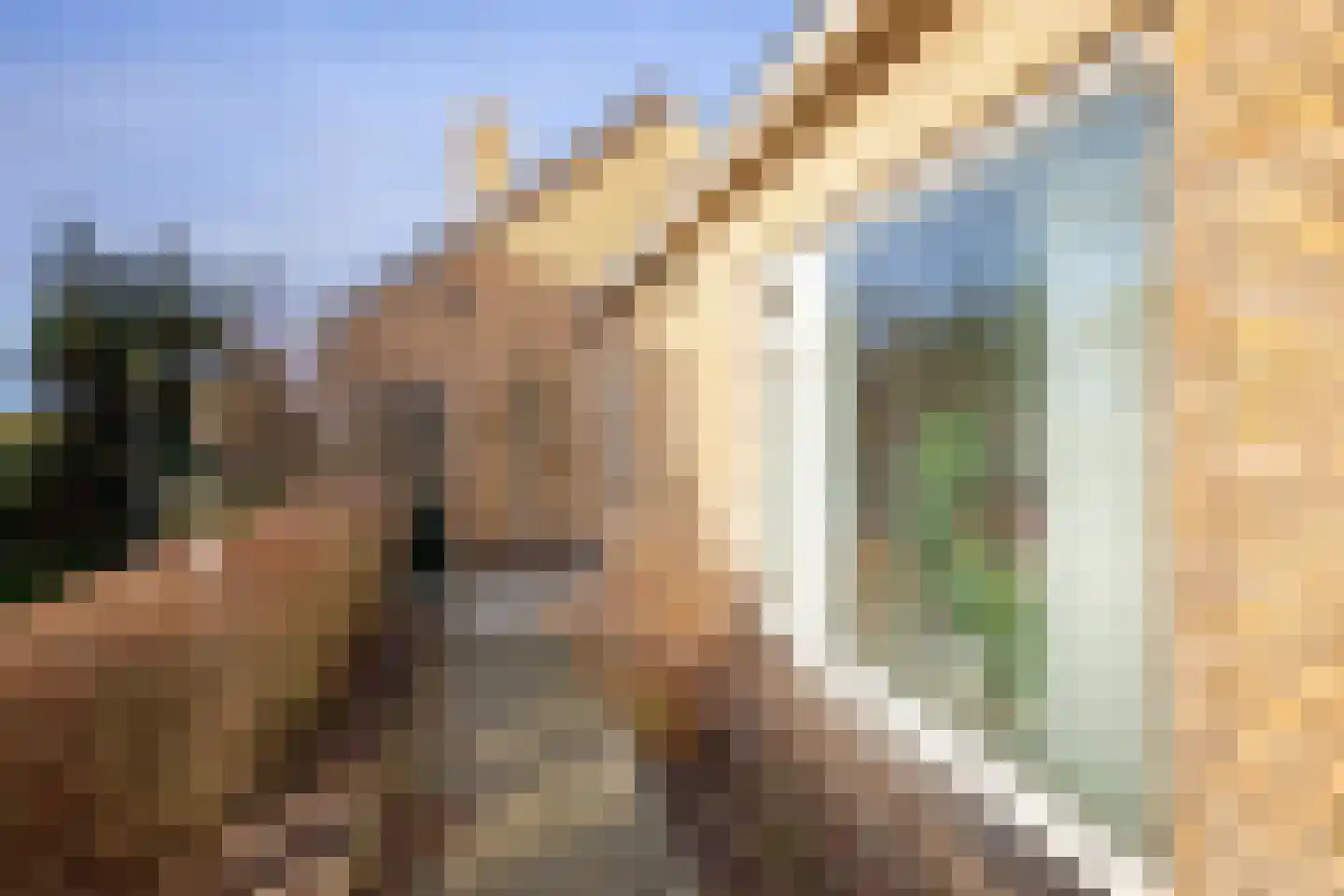 Vierhuizen 13 Oosterend thumbnail 46