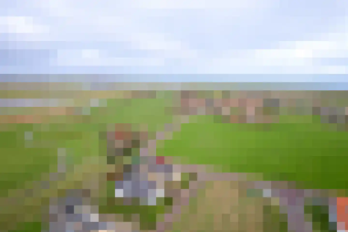 Vierhuizen 13 Oosterend thumbnail 48