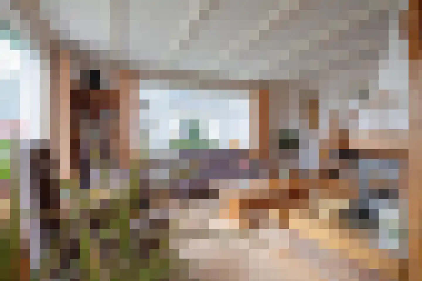 Vierhuizen 13 Oosterend thumbnail 5