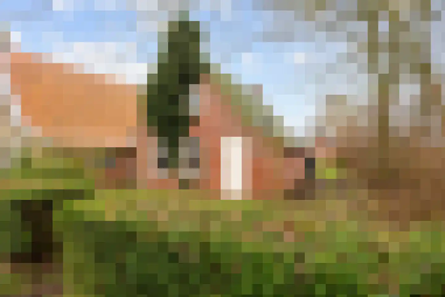 Vierhuizen 8 Schiermonnikoog thumbnail 4