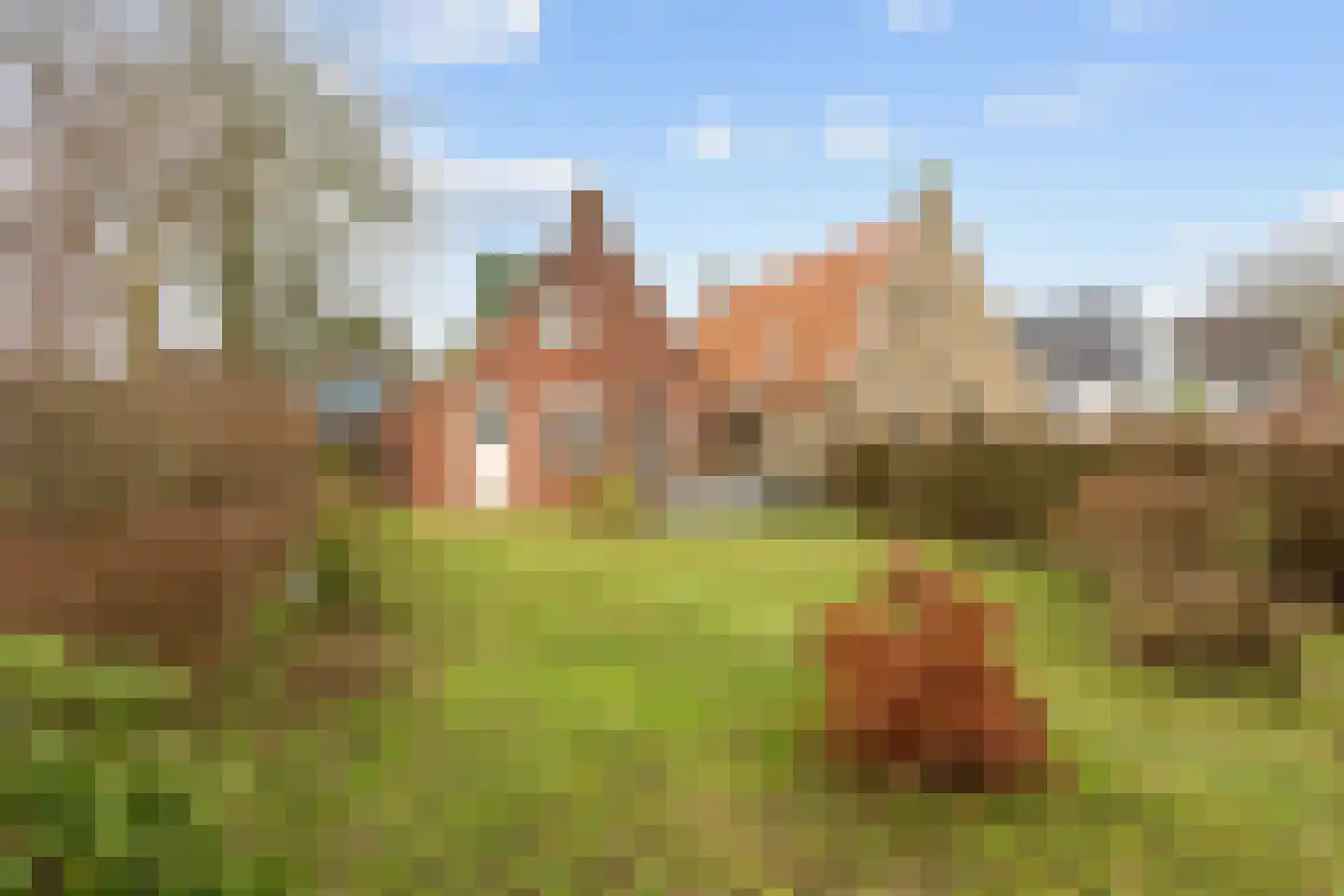 Vierhuizen 8 Schiermonnikoog thumbnail 43