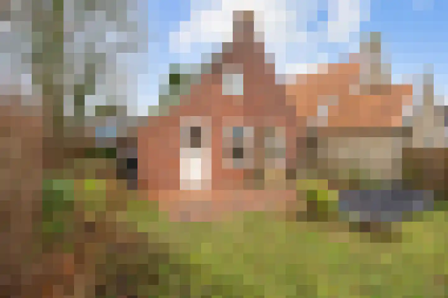 Vierhuizen 8 Schiermonnikoog thumbnail 44