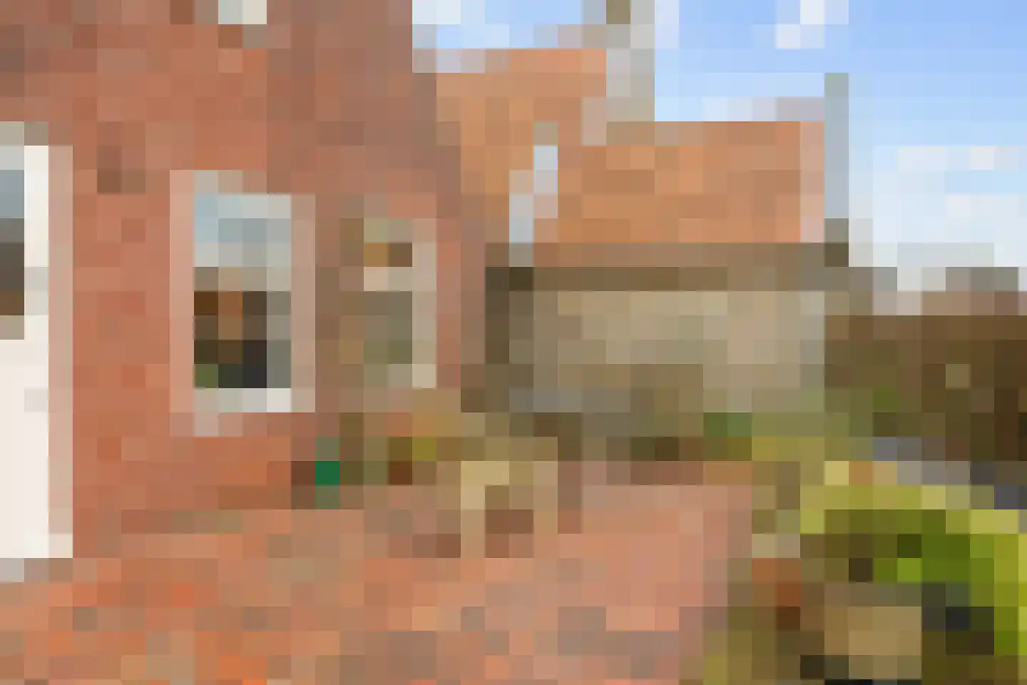 Vierhuizen 8 Schiermonnikoog thumbnail 45