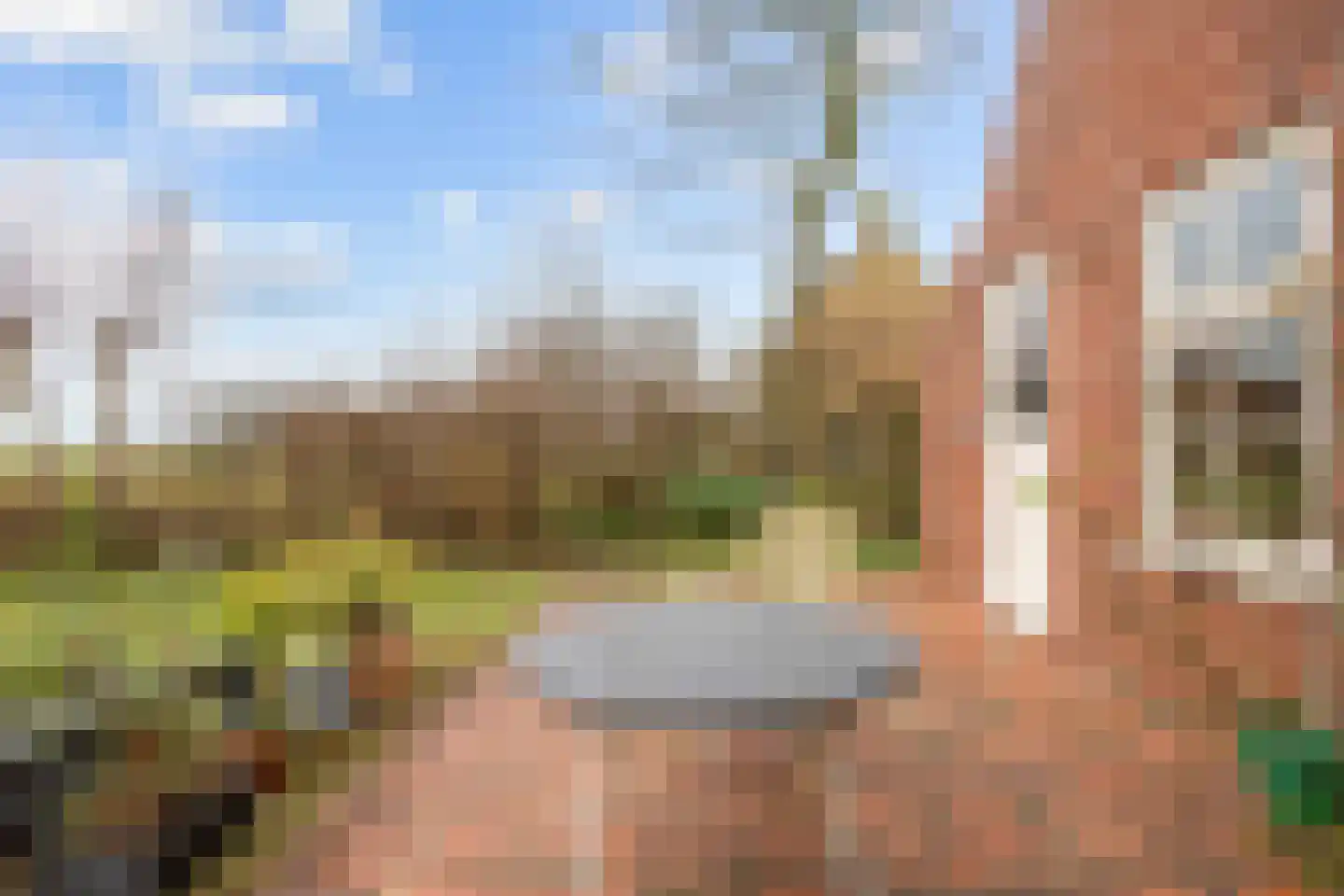 Vierhuizen 8 Schiermonnikoog thumbnail 47