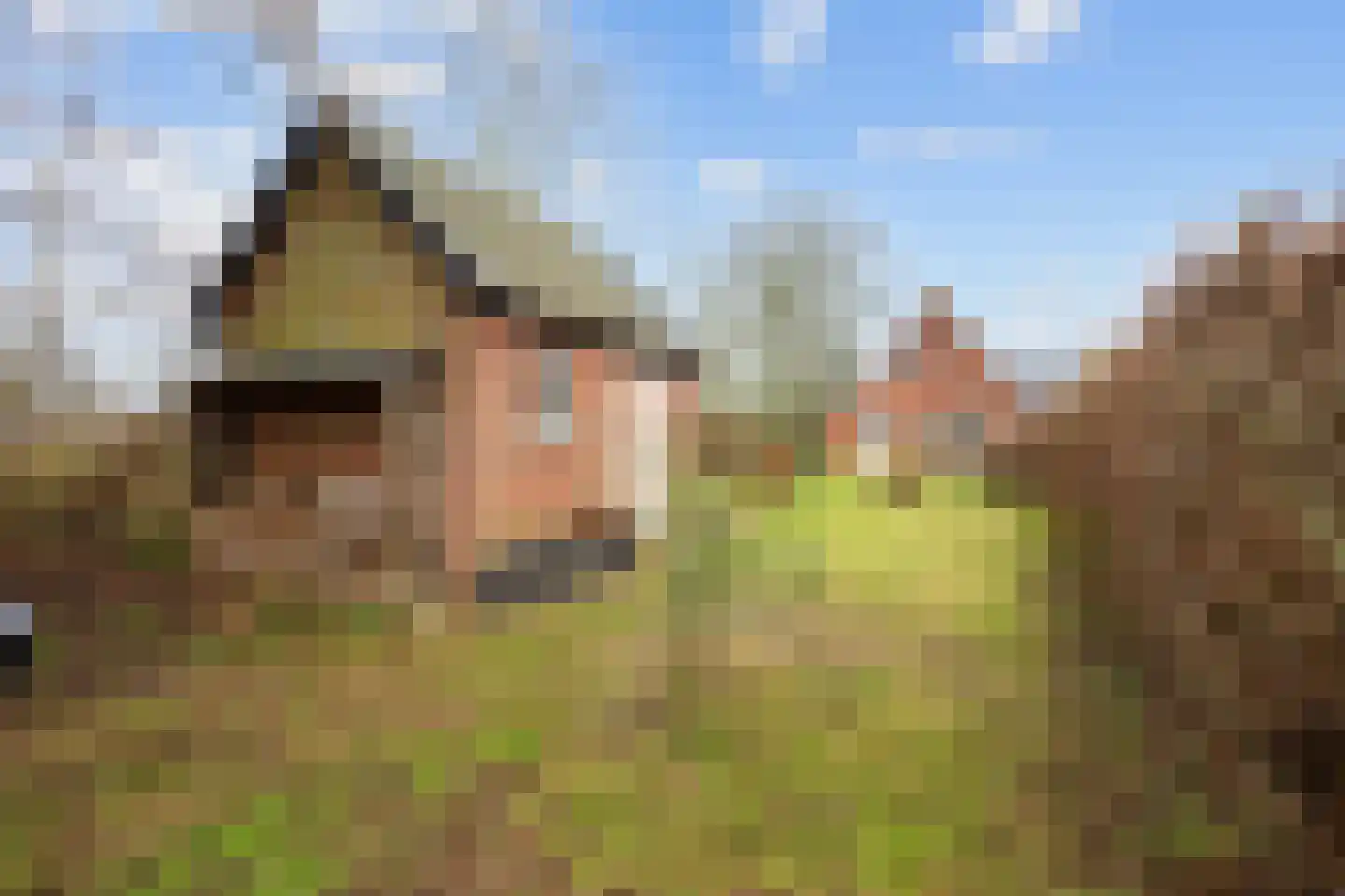 Vierhuizen 8 Schiermonnikoog thumbnail 48