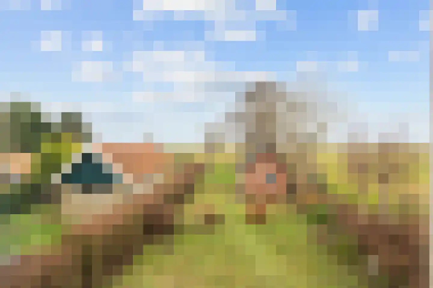 Vierhuizen 8 Schiermonnikoog thumbnail 49