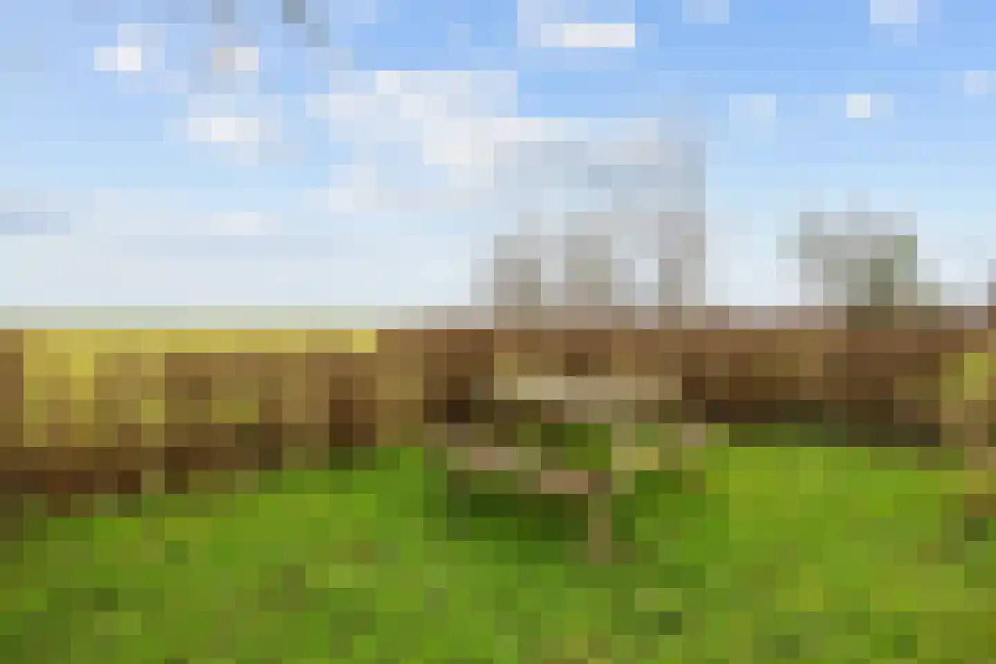 Vierhuizen 8 Schiermonnikoog thumbnail 52