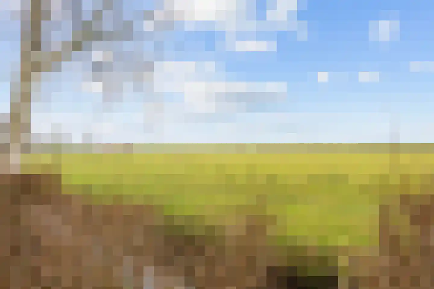 Vierhuizen 8 Schiermonnikoog thumbnail 53