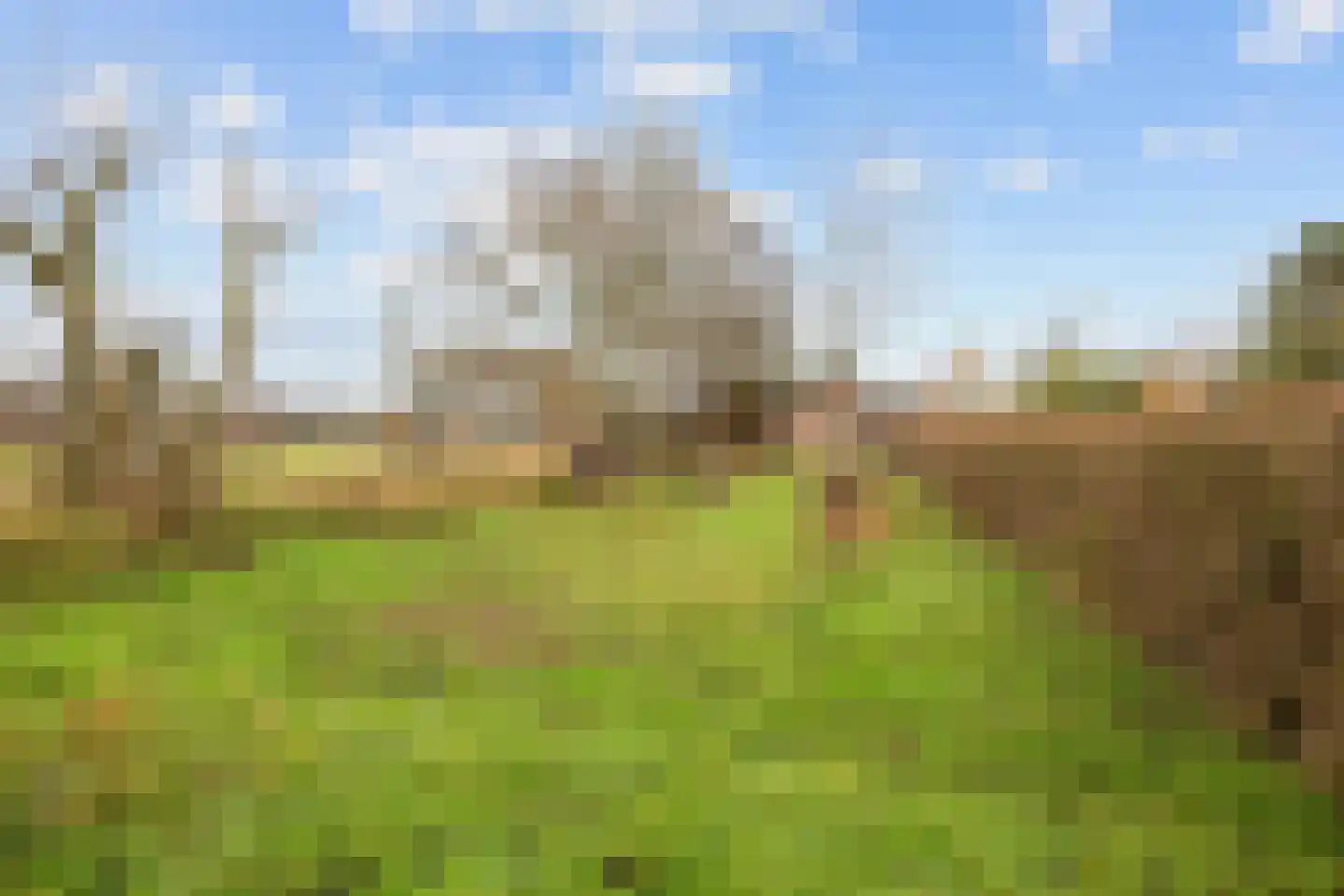 Vierhuizen 8 Schiermonnikoog thumbnail 55