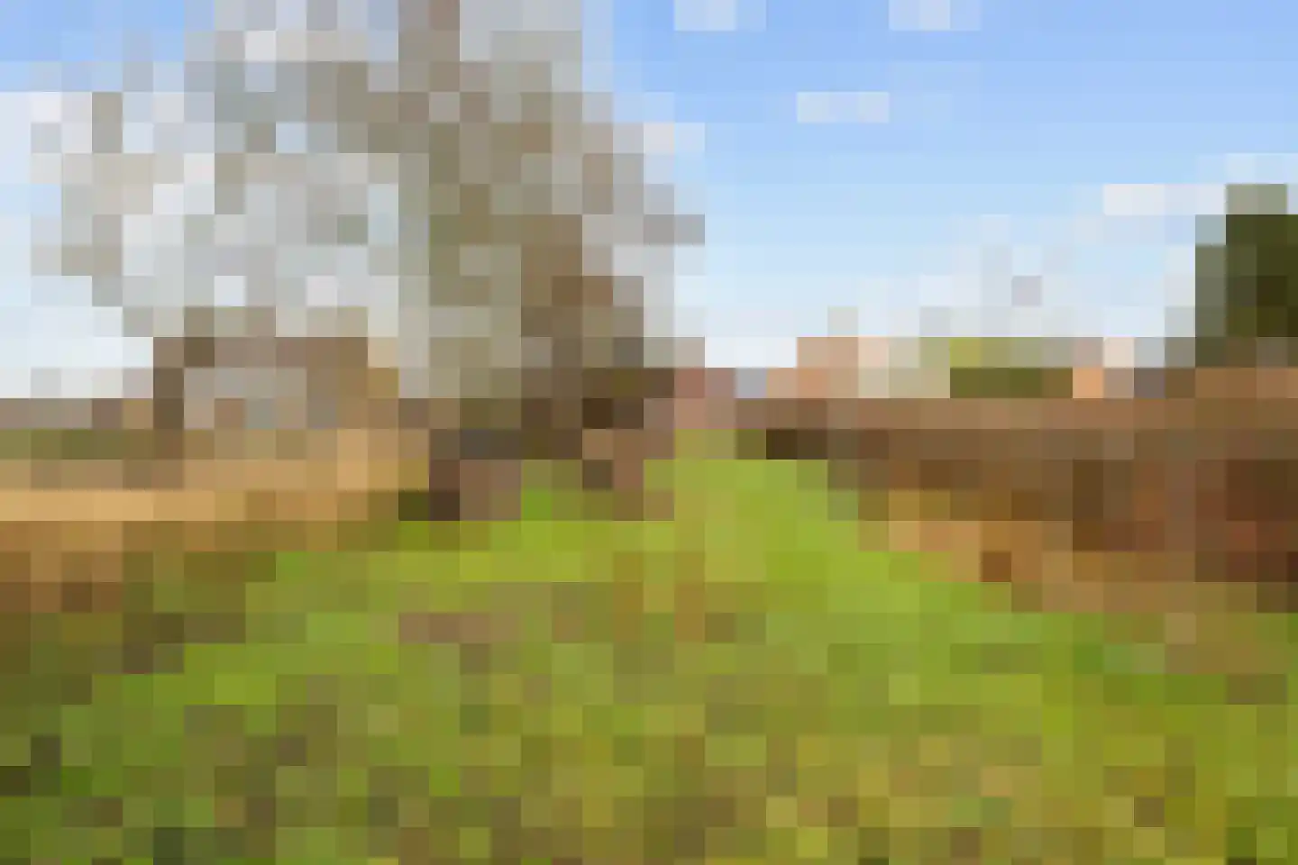 Vierhuizen 8 Schiermonnikoog thumbnail 56