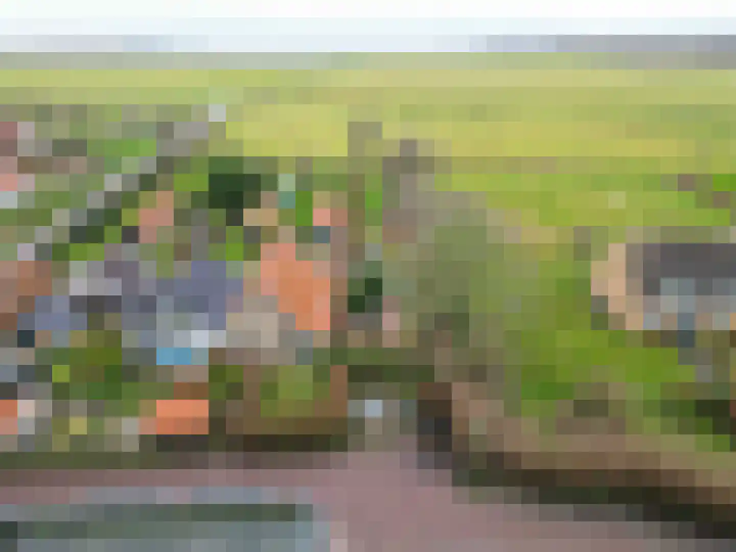 Vierhuizen 8 Schiermonnikoog thumbnail 62