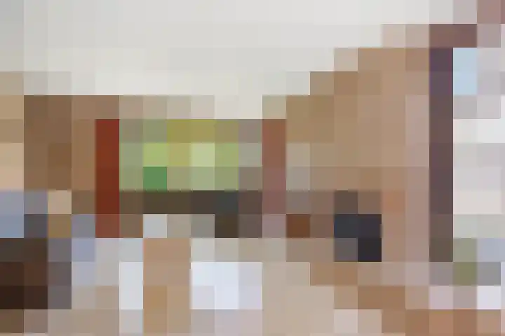 Vierhuizenhekstraat 3 Hellendoorn thumbnail 6