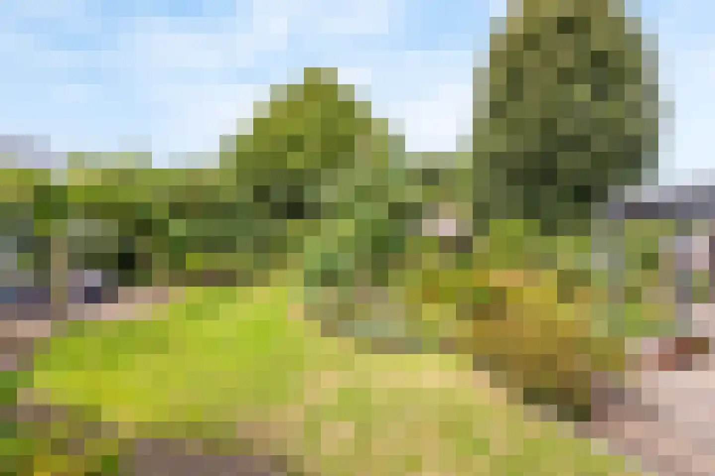 Vierhuizenhekstraat 6 Hellendoorn thumbnail 4
