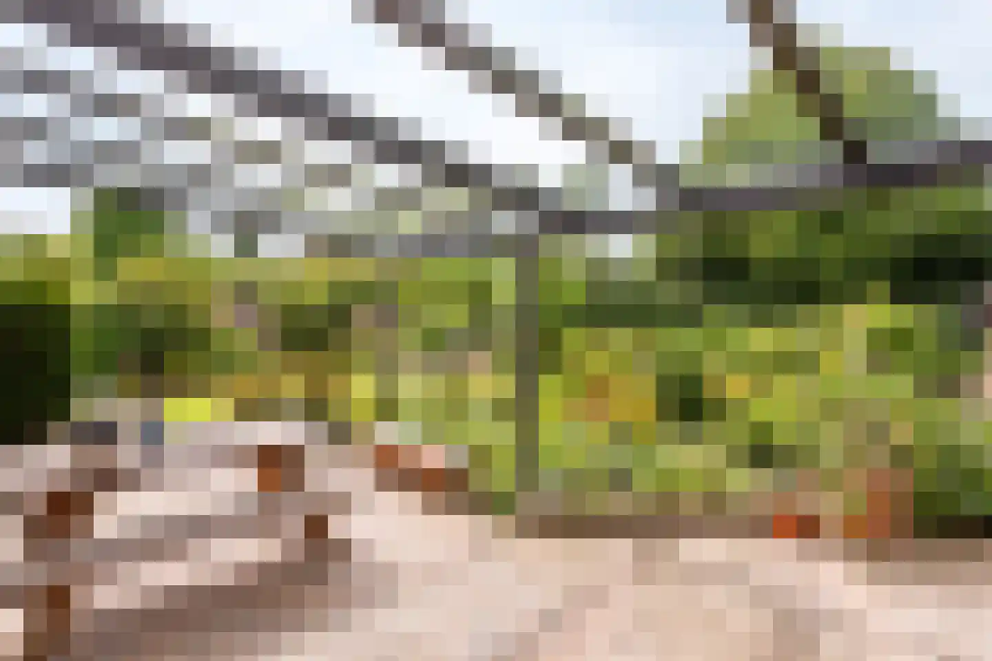 Vierhuizenhekstraat 6 Hellendoorn thumbnail 5