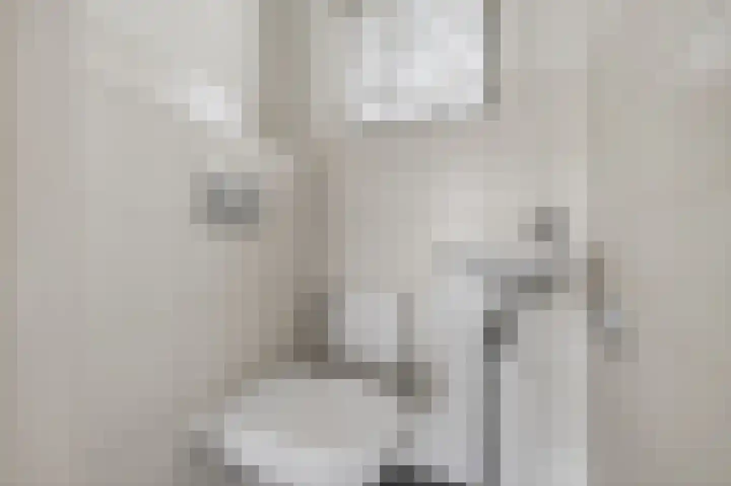 Vierhuysen 29 Diemen thumbnail 11
