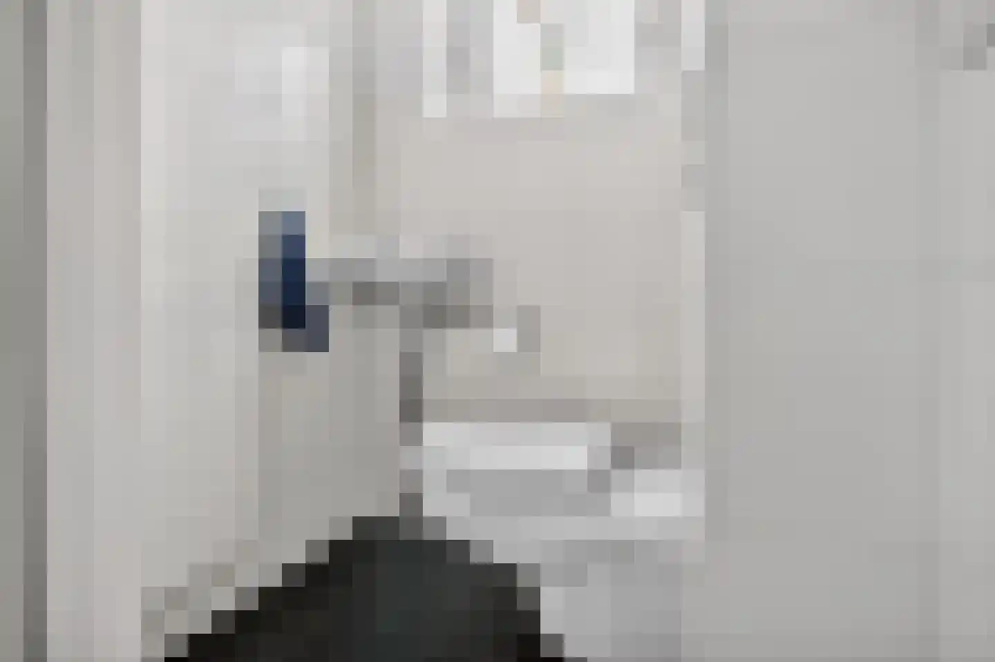 Vierhuysen 36 Diemen thumbnail 21