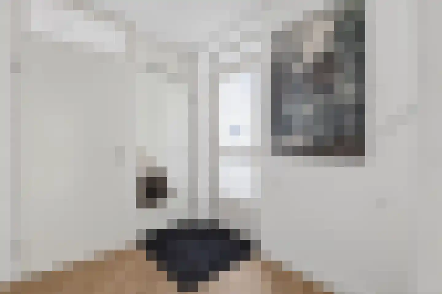 Vierhuysen 36 Diemen thumbnail 22