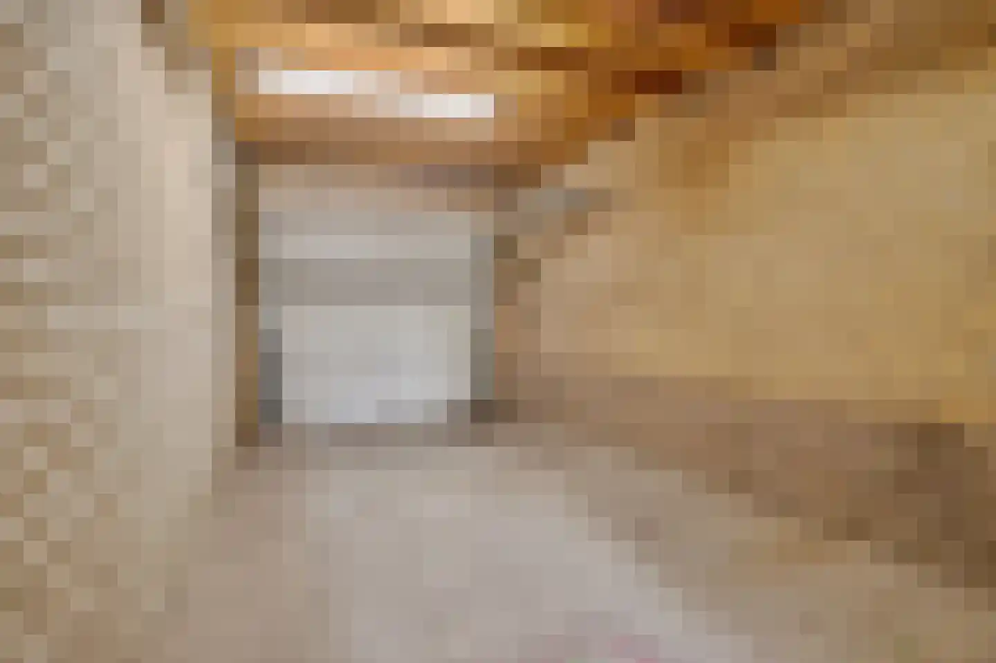 Vierhuysen 36 Diemen thumbnail 24