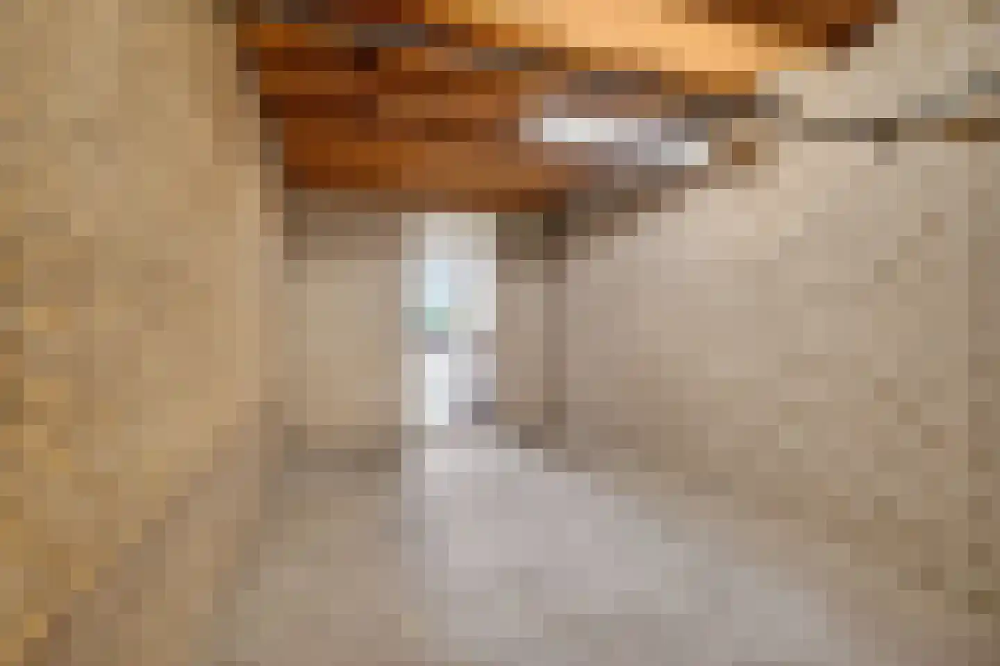 Vierhuysen 36 Diemen thumbnail 25