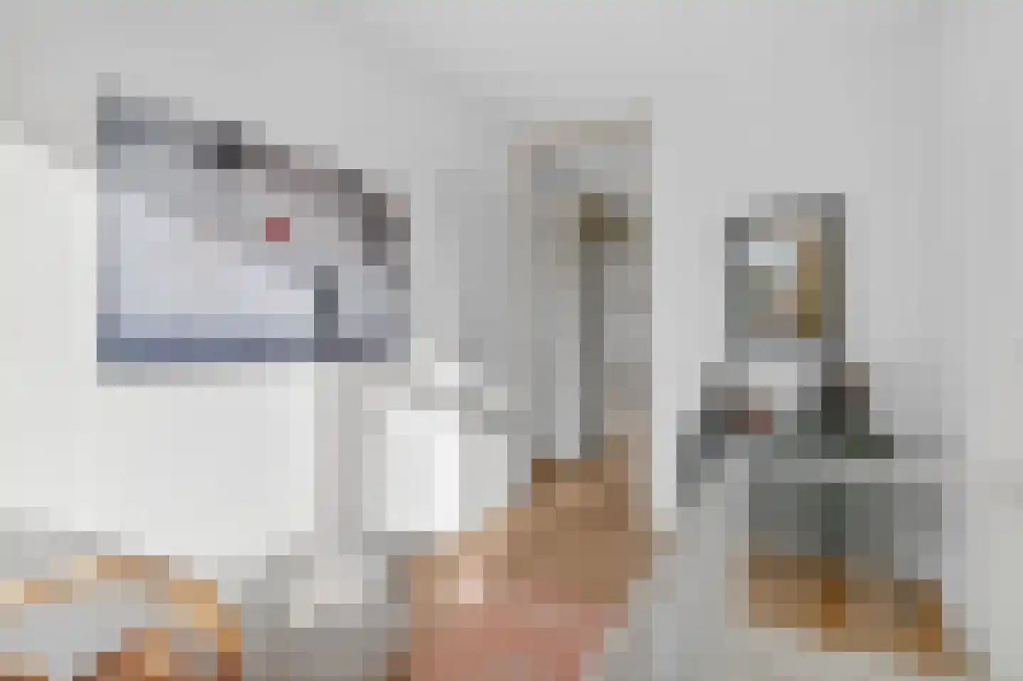 Vierhuysen 36 Diemen thumbnail 31